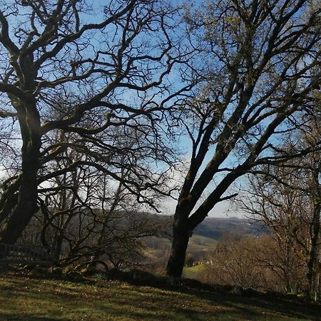 Gite Le Pigonnier Ecogite Le Luquet Saint Beauzeil 82150 Luaran gambar